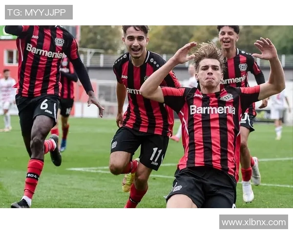 汉诺威96力克勒沃库森,德甲胜利归来! 汉诺威96力克勒沃库森,德甲胜利归来!